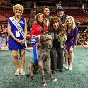 Best in show news image
